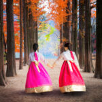 Travel Guide to Nami Island, South Korea