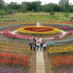 30,000 tulips made from upcycled plastic bottles in Lamitan Basilan photo via Lamitan LGU