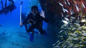 Scuba Diving Tips