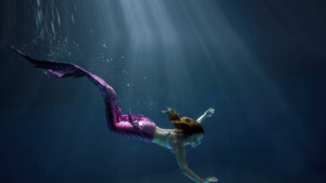 Yolanda Yao Mermaid