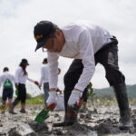 Toyota Motor Philippines Mangrove Planting