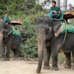 Elephant Rides Are Now Banned at Cambodia's Angkor Wat