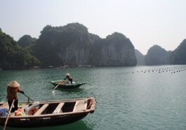 Ha Long Bay by @rafaprada via Unsplash