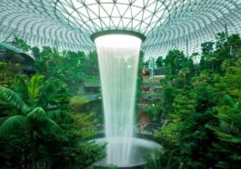 Inside the New Jewel Changi Airport in Singapore by @theandrewteoh via Unsplash
