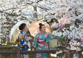 Yukata Rental with Sakura
