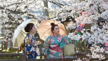 Yukata Rental with Sakura