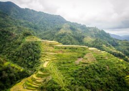 Banaue Rice Terraces