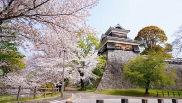 Kumamoto Castle photo by @jcs_chen via Unsplash