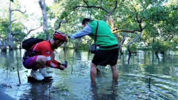 Bikers plant mangroves at Sarangani Bay
