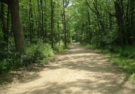 Des Plaines River Trail by Dave Piasecki via Wikipedia CC