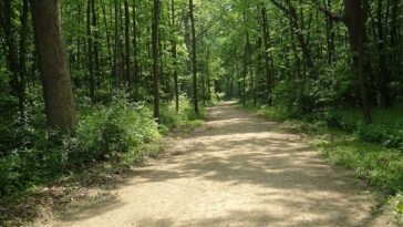 Des Plaines River Trail by Dave Piasecki via Wikipedia CC