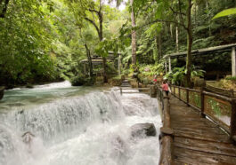 Farm Resort in Oriental Mindoro