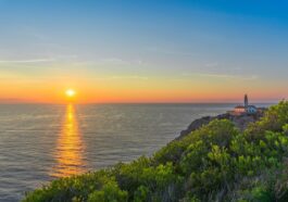 Best Things to do in Mallorca