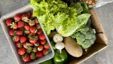 Buy Fresh Fruits and Vegetables Online via Session Groceries App
