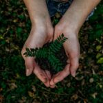 Cebu Pacific pursues sustainability initiatives despite pandemic Photo by Noah Buscher via Unsplash