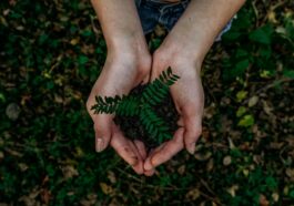 Cebu Pacific pursues sustainability initiatives despite pandemic Photo by Noah Buscher via Unsplash