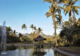 The Farm at San Benito