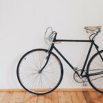 World Bicycle Day