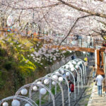 Jinhae Gunhangje Festival photo via DepositPhotos.com