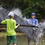 Net Fishing in the river
