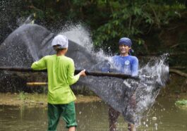 Net Fishing in the river