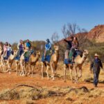 Pyndan Camel Tracks, Alice Springs