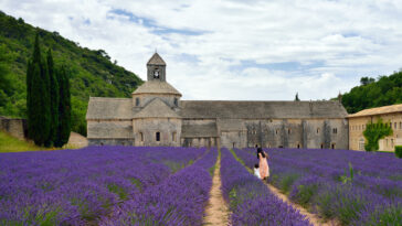 Llavender field at avening. An ancient monastery Abbey of Senanque in background. photo via Depositphotos.com