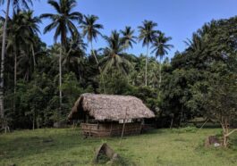 Stay in an Authentic Native Hut in Bulusan, Sorsogon.