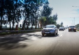 Unforgettable Family Road Trip Post Pandemic