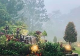 Baguio Will Reopen its Borders to Tourists on September