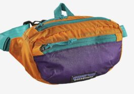 Patagonia Lightweight Mini Hip Pack
