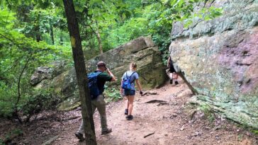 Turkey Mountain Urban Wilderness Area