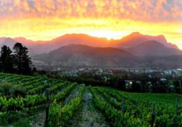 Dieu Donne Vineyards