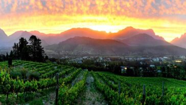 Dieu Donne Vineyards