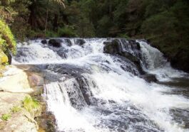 Morwell River Falls photo by Film.vic.gov