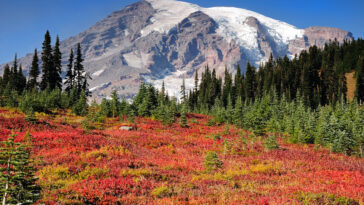 Mount Rainier National Park photo via Depositphotos