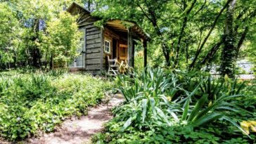 Charming Cabin Airbnb Rental Near Deep Ellum & Fair Park