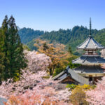 Yoshinoyama, Japan Spring Scene photo via Depositphotos