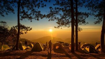 Beginner Camping Tips