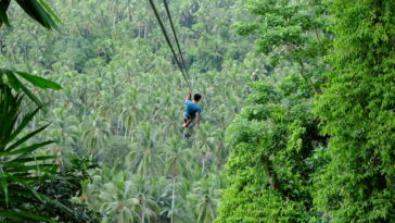 Experience the longest zipline in Bicol at San Lorenzo Ruiz, Camarines Norte. Photo by Ramir G. Cambiado