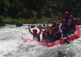 Rafters oftentimes commanded to stop paddling during high-intensity rapids