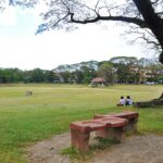 The Sunken Garden in U.P. Diliman by Annab 99 via Wikipedia CC