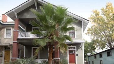 XL Suite in Savannah Georgia USA