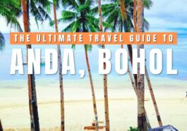 Anda Travel Guide