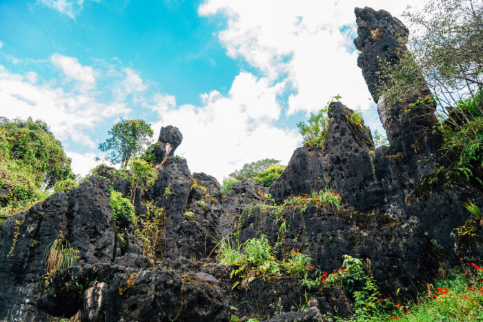 Ham Rong Mountain rock formation in Sapa, Vietnam photo via Depositphotos