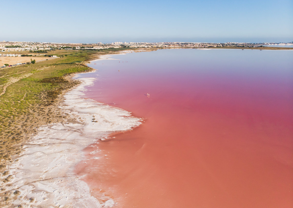 top-8-best-things-to-do-in-torrevieja-spain-out-of-town-blog
