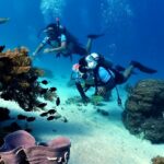 Belimac Resort reef by Ferds Sol
