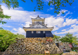 Hamamatsu Castle in Japan photo via Depositphotos
