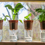 Self Watering Pots photo via Depositphotos