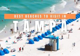 BEST Beaches in Tampa, Florida